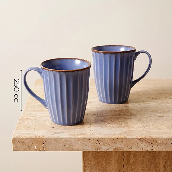Mavi Rölyef Desenli 2'li Porselen Mug Seti - 4