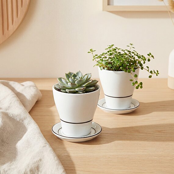 Rio İkili Kapaklı Şekerlik Baharatlık Seti Siyah 300 Cc - 3